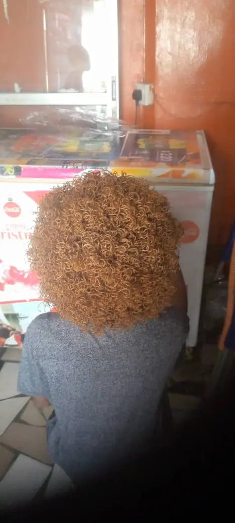 AFRICAN BRAIDED TINY TWIST WIG WITH CURLS ON 360 LACE CLOSURE - d.glitterzwigs