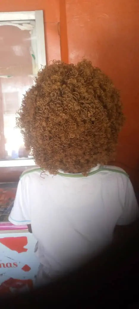AFRICAN BRAIDED TINY TWIST WIG WITH CURLS ON 360 LACE CLOSURE - d.glitterzwigs